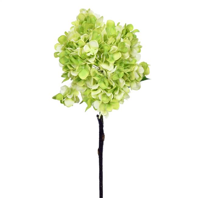 27" Green Hydrangea Spray