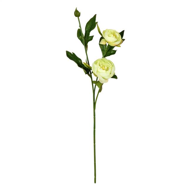 16" Lime Peony Spray 6/Pk