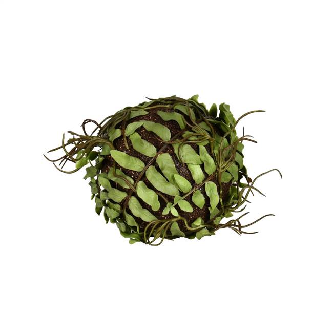 4"  Green Boston Fern Ball 3/Pk