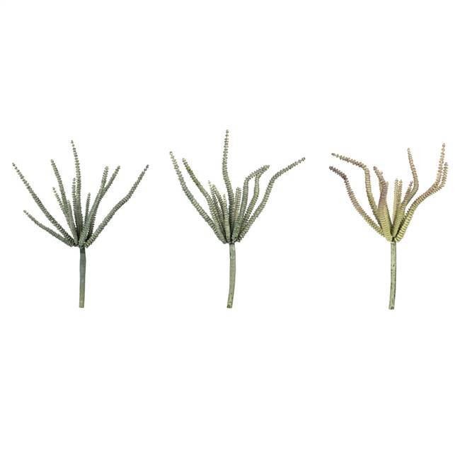 10.5" Green Haworthia Spray Asst 6/Pk