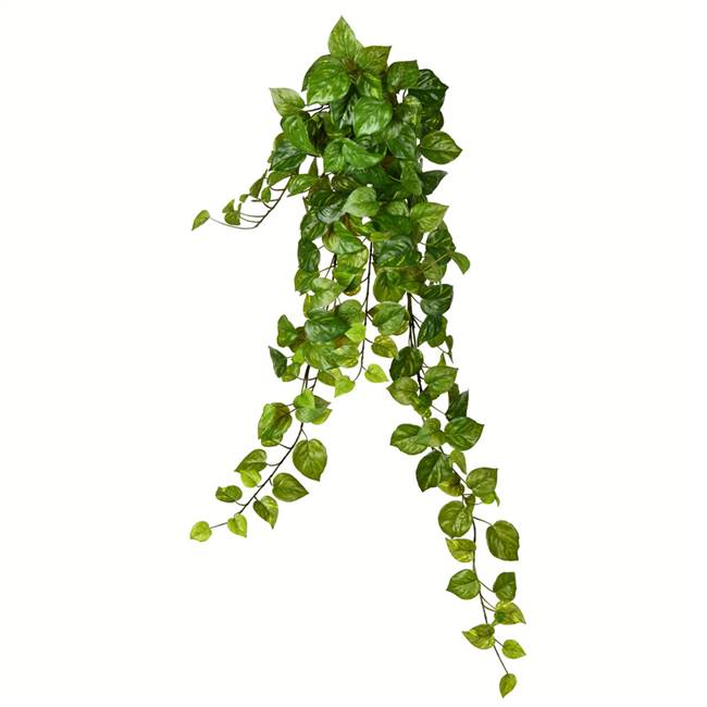 34" Green Pothos Leaf Hanging Bush