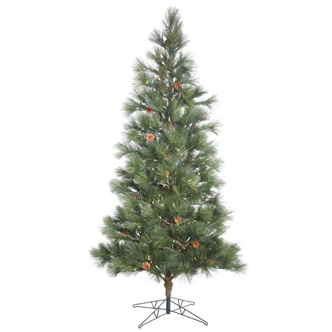 10.5 x 71" Redmond Spruce 1000LED WmWht