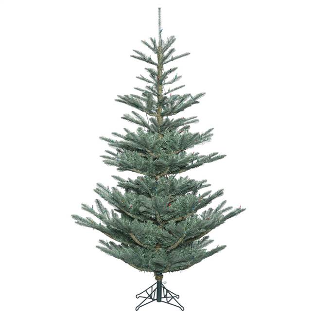 4' x 32" Alberta Blue Spruce 208T Burlap