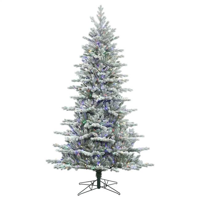 10' x 71" Frst Eastern Fir 1050LED Multi