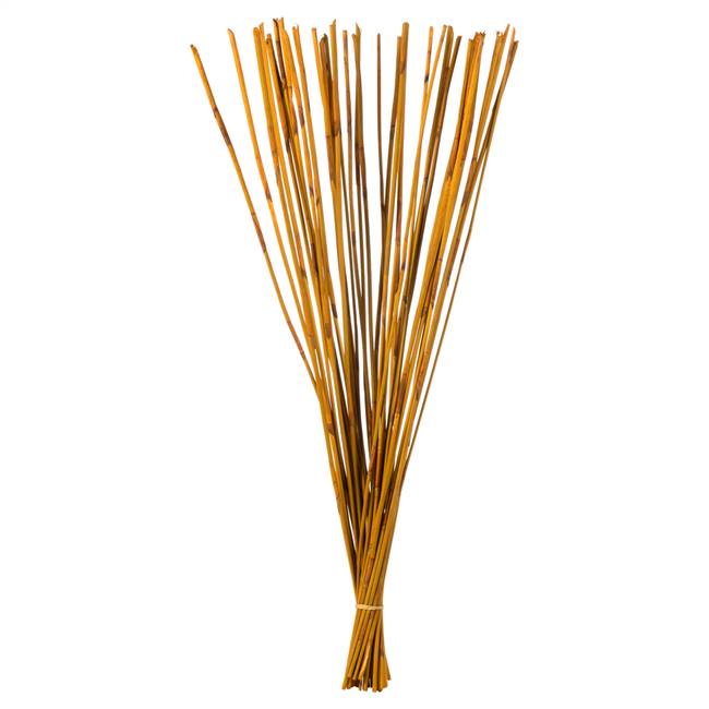 40-42” Aspen Gold Elephant Reed Bundle