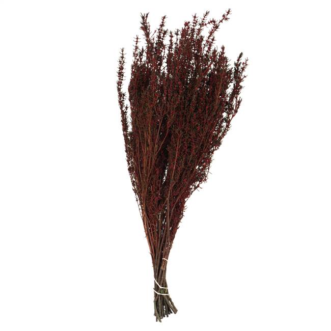 22-26" Red Grabia Bundle