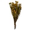 12-18" Aspen Gold Tortum Bundle