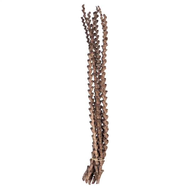 32-36" Natural Ladder Branches - 7/Pk