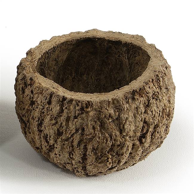 3-4" Natural Mayan Coconut