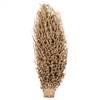 18 x 5" avg Natural Olympia Seed Pod