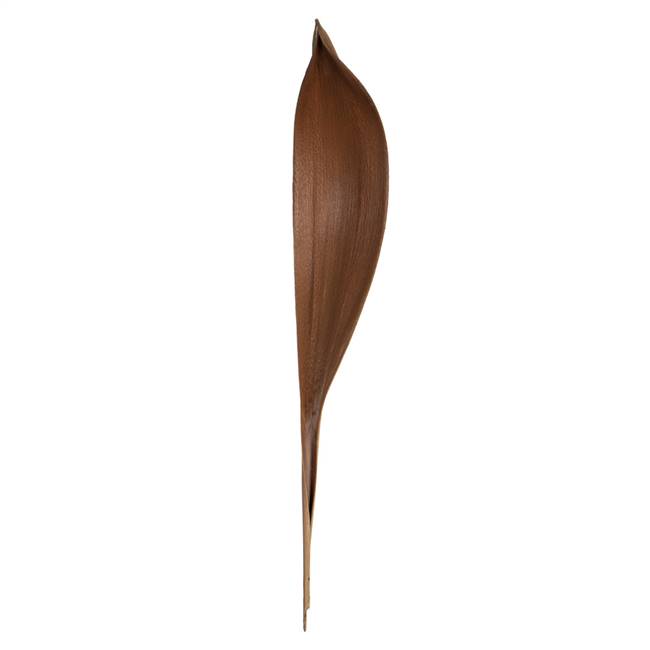 24-30" Natural Palm Paddle