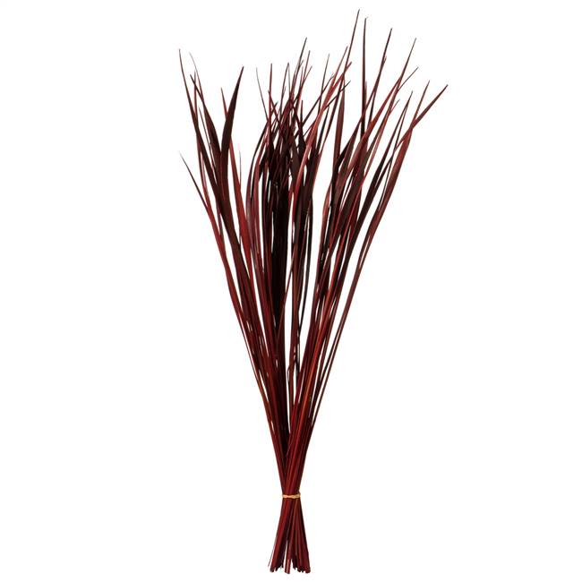 28-36” Red Splinter Grass - 11 oz.