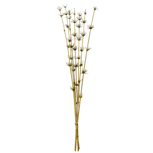36-40” Basil Star Bamboo Reed Stem