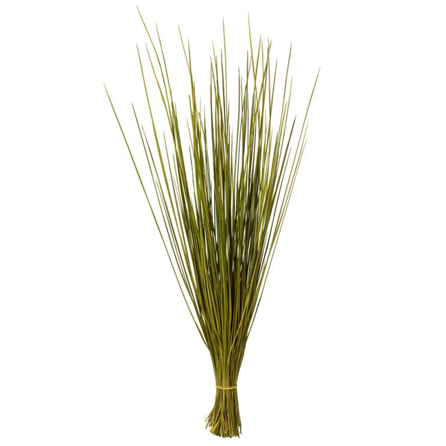 24-30" Basil Whip Grass Bundle - 8 oz.