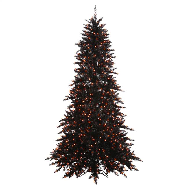 10'x68" Black Fir DL LED 1150Org 2980T