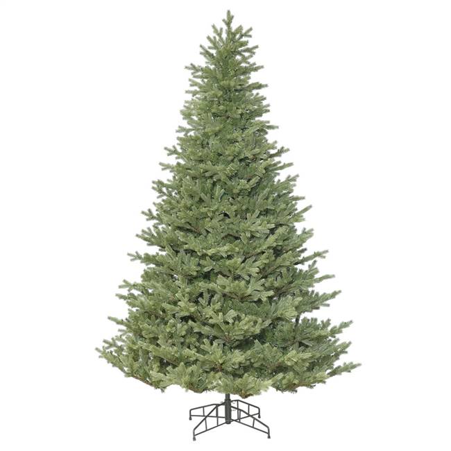 5.5' x 47" Princeston Frasier Fir 1664T