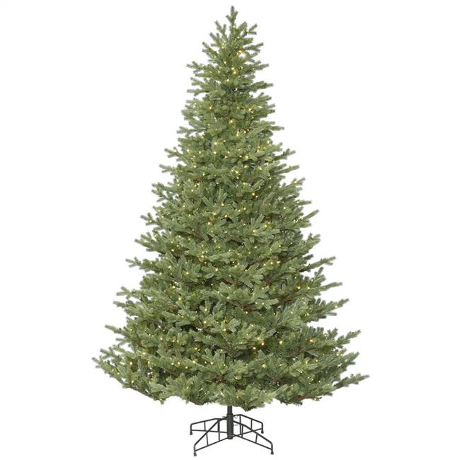 5.5' x 47" Princeston Fir  550LED WmWht