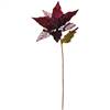 32" Burgundy Glitter Poinsettia 11"Flr