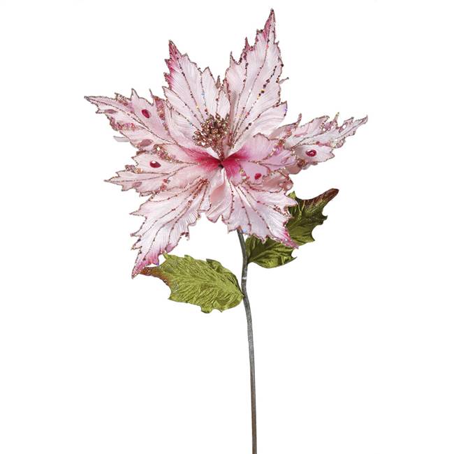 26" Pink Poinsettia, 13" Flower 3/Bag
