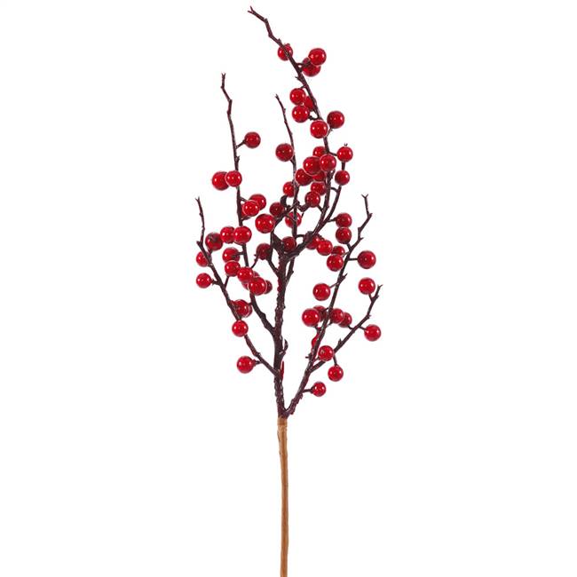 18" Red Wild Outdoor Berry Pick
