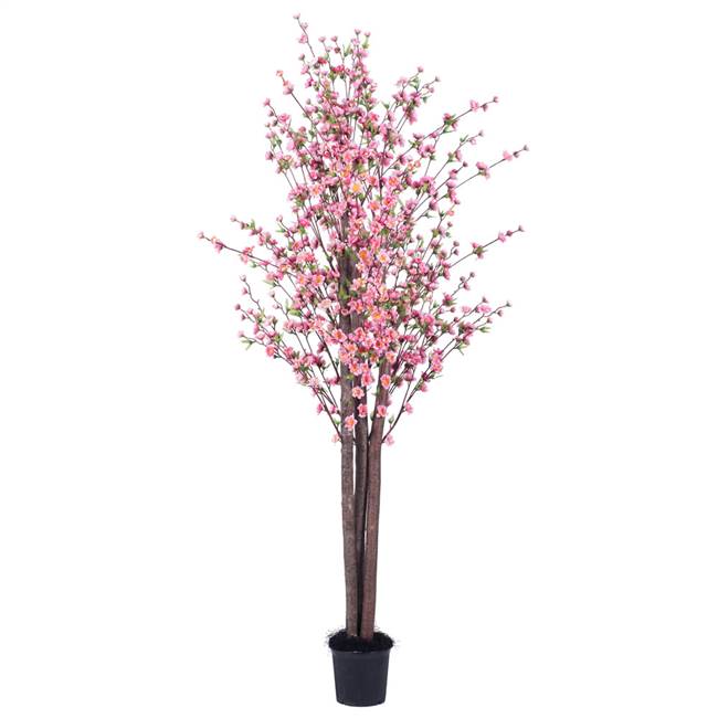 6' Hot Pink Blossom Tree