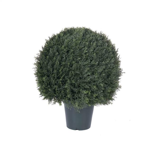 24" UV Pond Cypress Ball in Pot