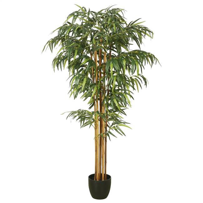 6' Bamboo Tree w/pot-Green