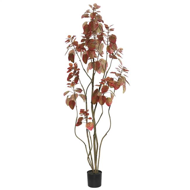 5' Rogot Rurple Tree w/Pot-Red