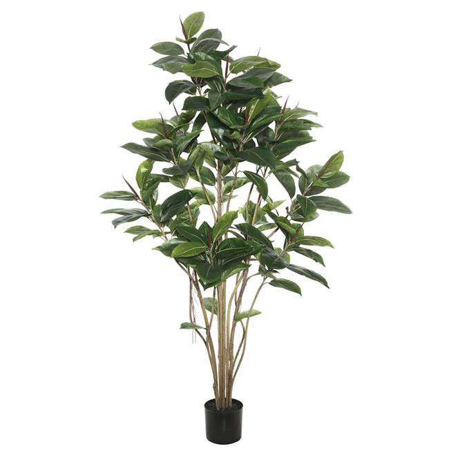 5' Potted Rubber Treew/132 Lvs-Green