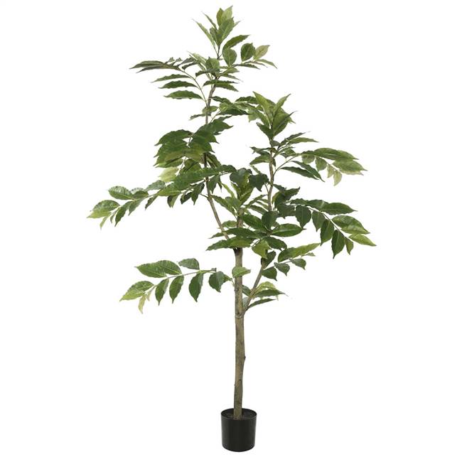 5' Potted Nandina Treew/226 Lvs-Green