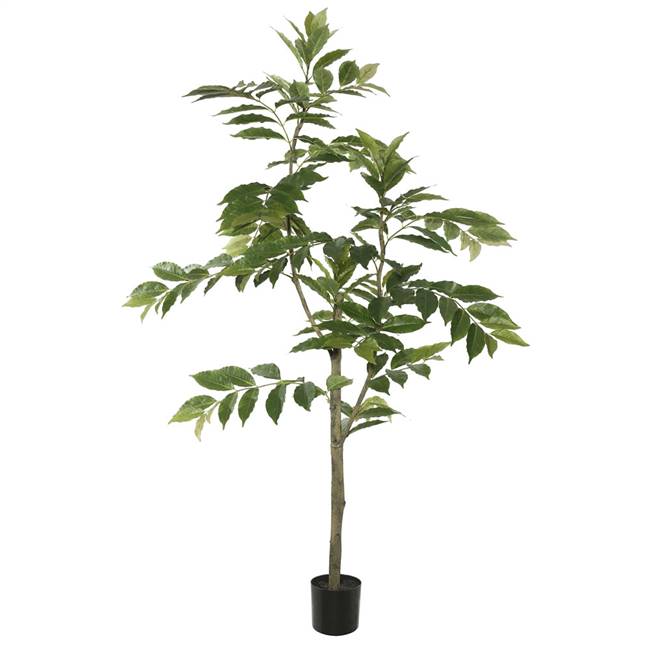 6' Potted Nandina Tree W/284 Lvs-Green