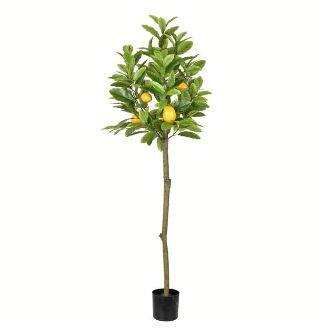 55" Potted Lemon Tree 185 Leaves