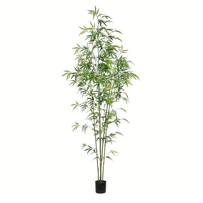 6' Potted Mini Bamboo Tree 1193 Leaves