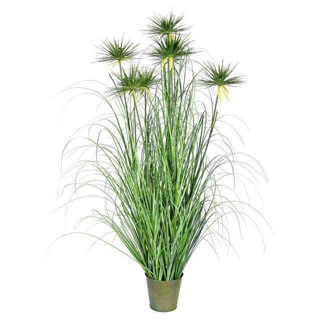 48" Green Cyperus Grass In Iron Pot