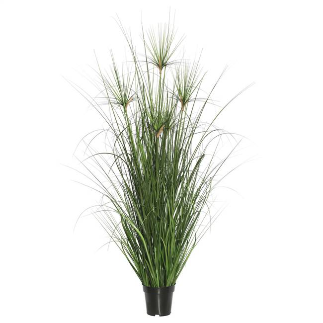 48" Green Brushed Grass in Pot