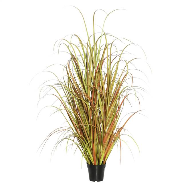 36" Mixed Brown Grass in Pot