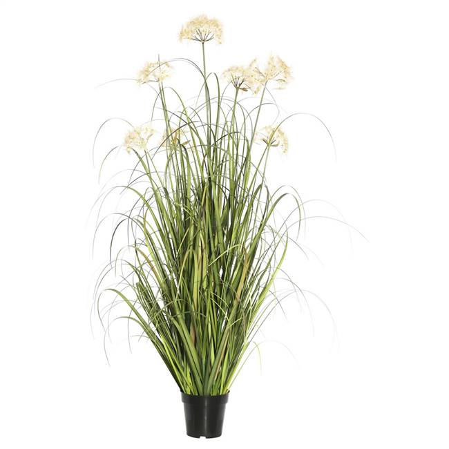 36" Dandelion Grass in Pot