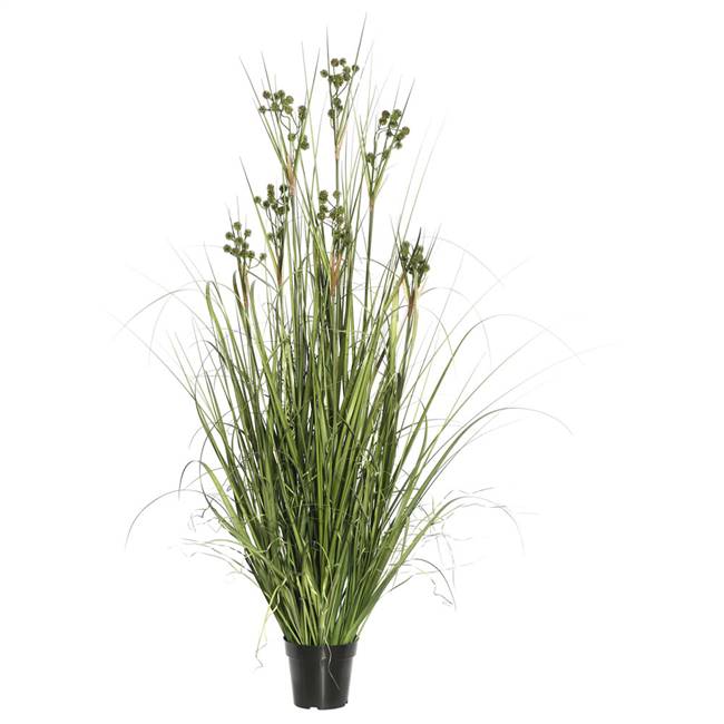 48" Grass with Pomp Balls in Pot