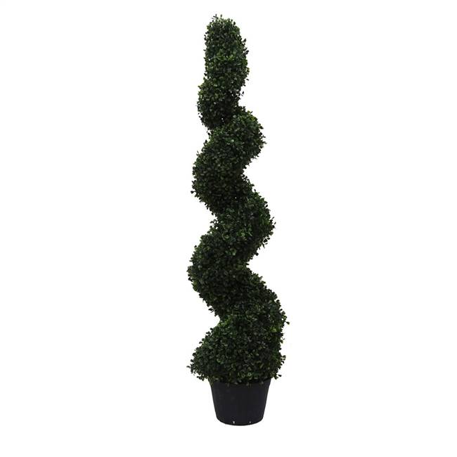 4' Boxwood Spiral In Pot (UV)