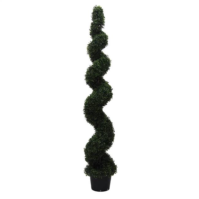 6' Boxwood Spiral In Pot (UV)