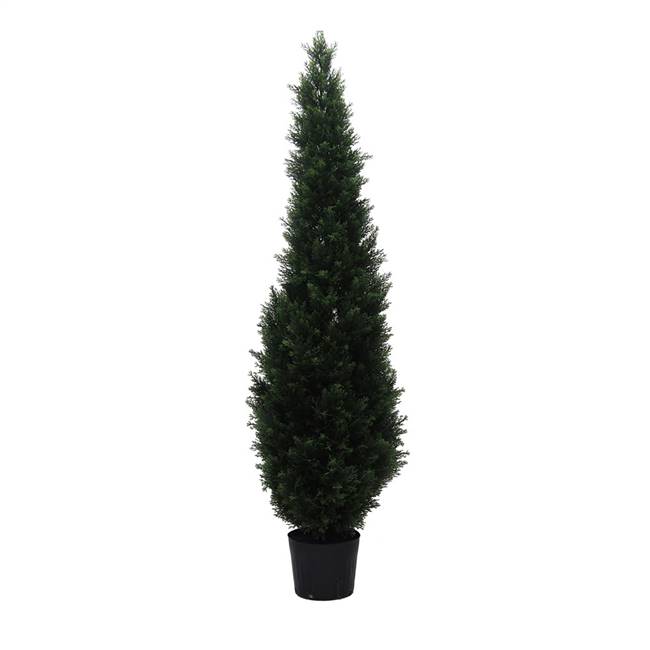 6' Potted Cedar Tree (UV)