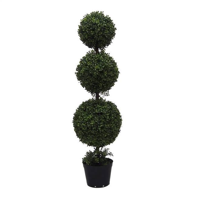 4' IFR Boxwood Triple Ball In Pot