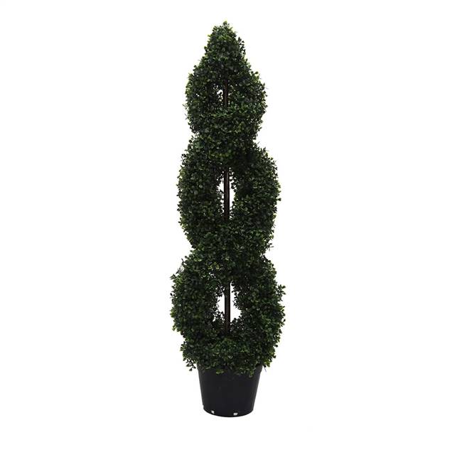4' IFR Boxwood Double Spiral In Pot