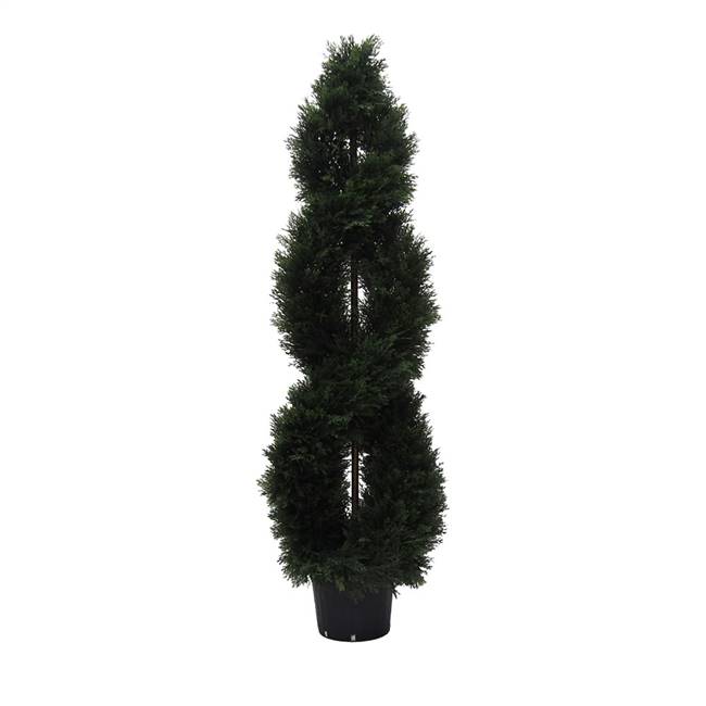 5' Cedar Double Spiral (UV)