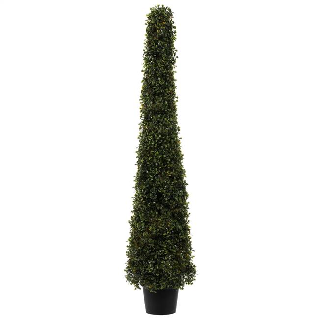 4' Potted Boxwood Cone UV