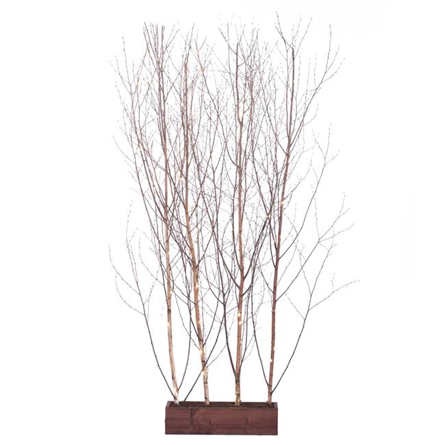 7' Winter Birch Room Divider w/ LED