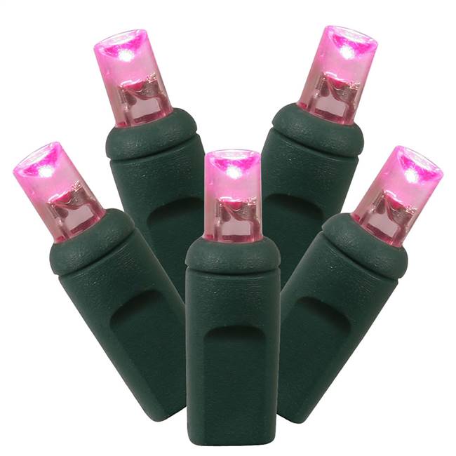 100Lt LED Pink/GW WA EC Set 1Pc 6"x50'L