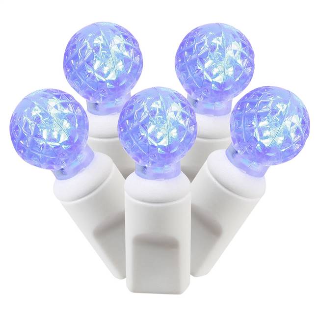 50Lt LED Blue/WW G12 EC Set  25'L