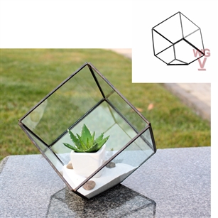 Geometric Glass Terrarium, Heptahedron, Tilted Cube, Black Frame - Width: 8.5", Height: 8.5" (6" Square cube tilted)