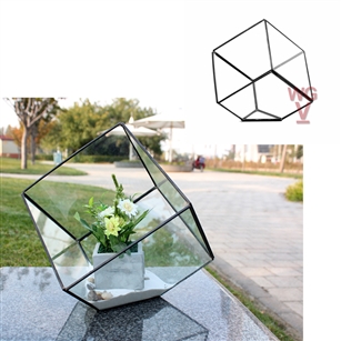 Geometric Glass Terrarium, Heptahedron, Tilted Square, Black Frame - Width: 11.5", Height: 12" (8" Square Cube Tilted)